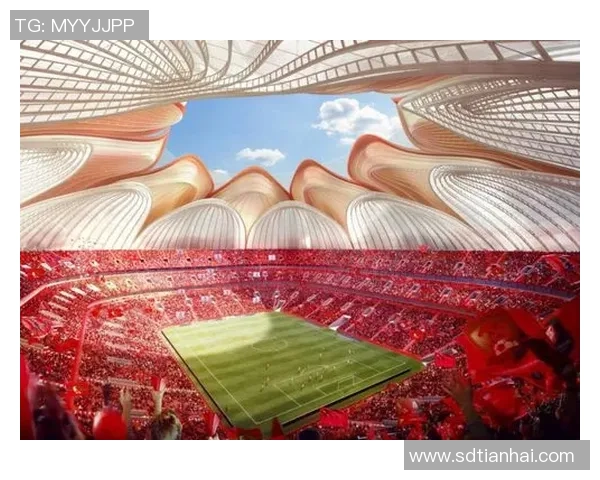 51足球球星成长之路与赛场荣耀全景解析 51足球球星成长之路与赛场荣耀全景解析