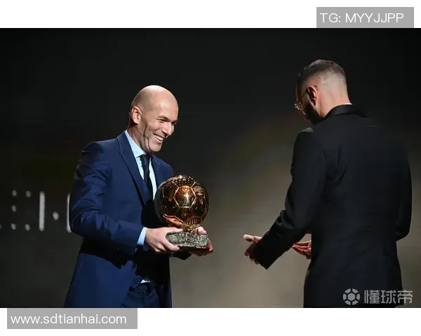 世界著名足球球星档案大全纵览辉煌历史与荣耀时刻