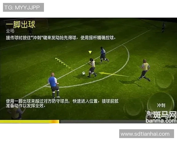 以大个足球球星成长历程为核心探寻绿茵场辉煌与挑战之路