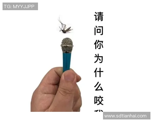 搞笑足球明星逗比网名英文版推荐集合 带你玩转足坛幽默世界 搞笑足球明星逗比网名英文版推荐集合 带你玩转足坛幽默世界